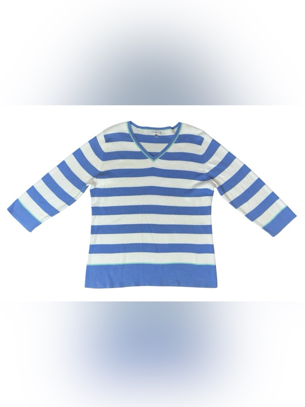 Croft & Barrow Womens XL Ribbed Sweater Striped Blue Academia 3/4 Sleeve